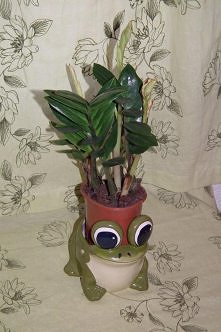 Osłonka doniczki kwiatka- żaba:)