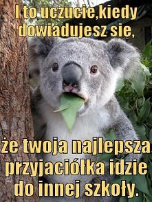 I właśnie ja jestem tą przyjaciółką T . T
