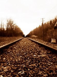 viola photography / tory