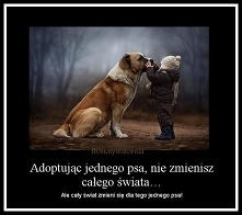 Nie kupuj, Adoptuj! FB/MOTYWATORNIA