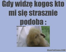 słodkie :3
