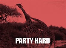 Party Hard !!