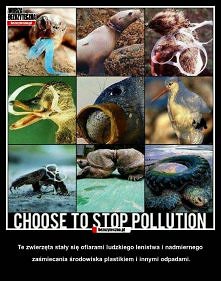 okropienstwo ja tez jestem ...