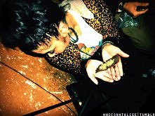 Naturalny haj tylko dobre geesy !