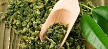 zielona herbata naturalny wspomagacz odchudzania