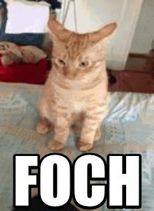 FOCH