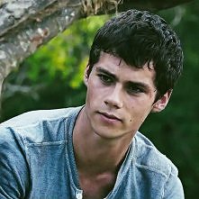 Więzień labiryntu 
.gif.