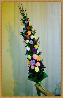 Moja palma konkursowa;]]]