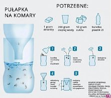 sposób na komary