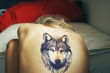 wolf :)
