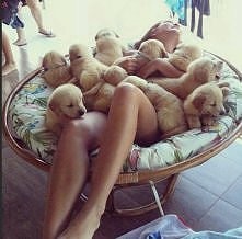 Słodkie te pieski <3