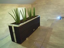 łazienka - roślinki :)