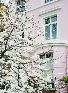 rano taki widok i chce się żyć...