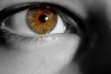 LaLike - blog