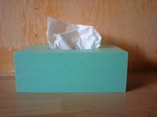 Miętowy chustecznik