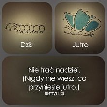 Nadzieja umiera ostatnia