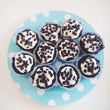 Oreo cupcakes!