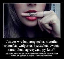 prawda