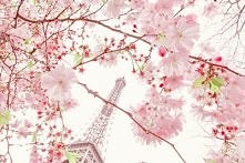 Zu­pełnie inaczej jest, jeż...