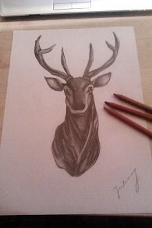 seriale uczą cierpliwości