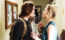 Haleb *>*