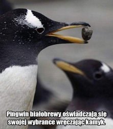:):)taka ciekawostka