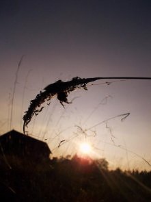 Zdjęcie wykonane przeze mni...