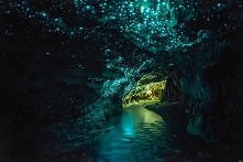 WAITOMO CAVES, NEW ZEALAND