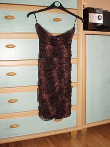 świetna sukienka vinted.pl (sylwiaa174)