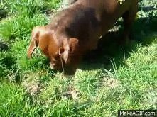 ♥♥♥ 
kopanie wcale nie jest takie łatwe ;)