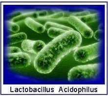 Zadanie - przeczytać, zasto...