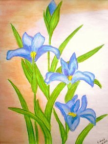 Błękitne irysy