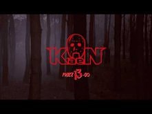 KaeN feat. Cheeba, WdoWA - Zbyt wiele (audio)