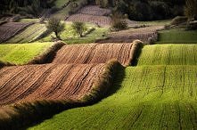 piękne Roztoczańskie plenery