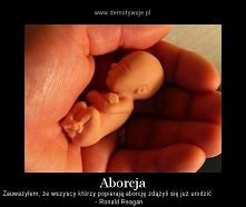 Cala prawda w jednym zdaniu.