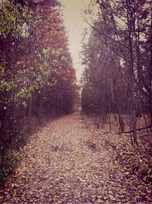 czasem warto pójść inna drogą niż zwykle ...