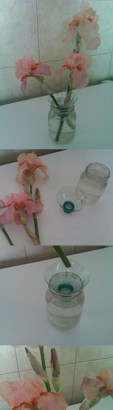 Sposób na to, by kwiaty ład...