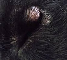 Ludzie proszę wad o pomoc m...