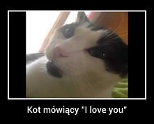 Kot mówiący "I love yo...