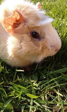 To moja Suzi ^^ Nie uważaci...