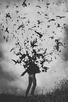 Becca Fitzpatrick "Sze...