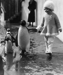 Londyńskie zoo, 1937