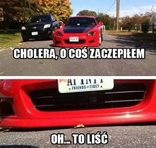 na szczęście to tylko liść :D