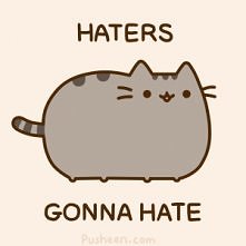 Haters Gonna Hate Cat