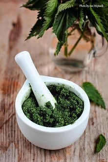 Pesto z pokrzywy