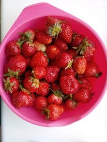 oglaszam sezon na truskaweczki <3