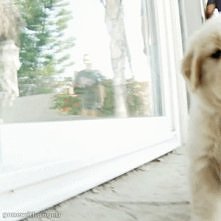 ohh cudowny :* gif