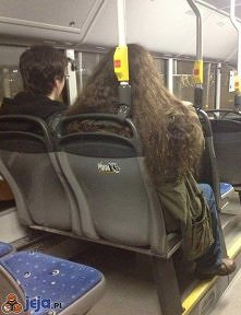 Hagrid z Harrym w autobusie ;)