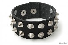 Pieszczocha komu się podoba ?