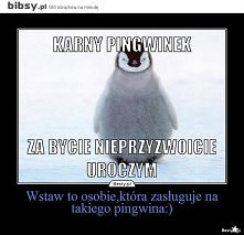 No to Zszywka ma karniaka :P